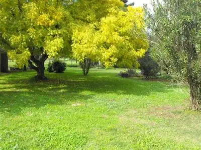 Seventh view of Homely house listing, 35 Binowee Road, Cootamundra NSW