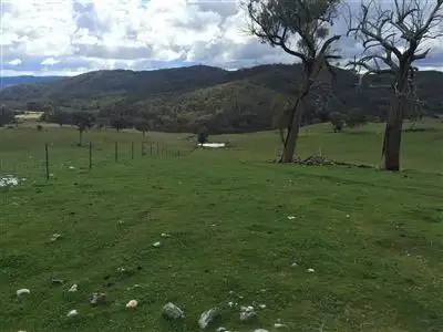 Fourth view of Homely rural property listing, The Lenore 33 Montana Road, Peelwood NSW 2583