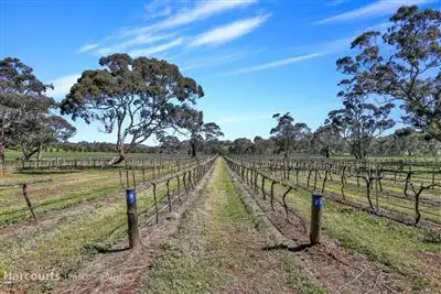 Sixth view of Homely rural property listing, 471 Hutton Vale Road, Angaston SA 5353