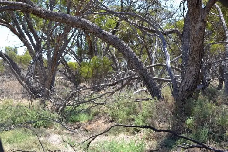 Fifth view of Homely land listing, . Hillam Road, Cunderdin WA 6407