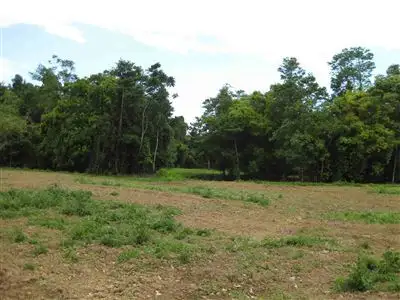 Fourth view of Homely rural property listing, Address available on request