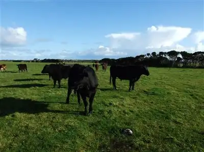 Fourth view of Homely rural property listing, 120 Don Kendall Drive, Loorana TAS 7256