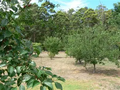 Third view of Homely rural property listing, Address available on request