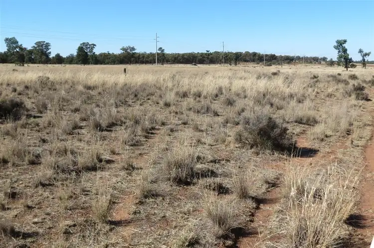 Third view of Homely rural property listing, . Pipiriki, Wyalong NSW 2671