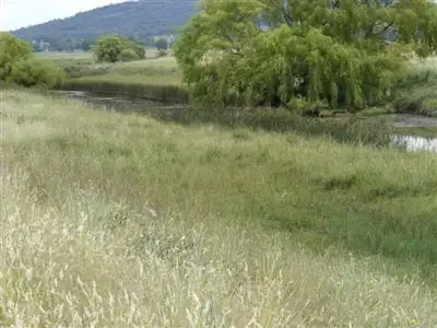 Sixth view of Homely rural property listing, Middle Lea/* Ruwenzorie Road, Glen Innes NSW 2370