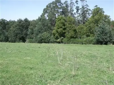 Fourth view of Homely rural property listing, 60 Christies Albert River Road, Hiawatha VIC 3971
