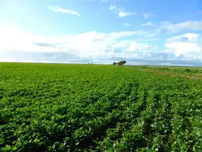 Second view of Homely rural property listing, 104 McArdle Road, Avon SA 5501