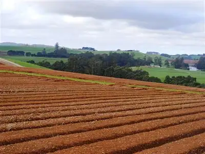 Third view of Homely rural property listing, 111 Allens Road, Sisters Creek TAS 7325