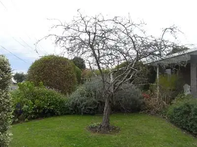 Third view of Homely house listing, 39 Neal Street, Timboon VIC 3268
