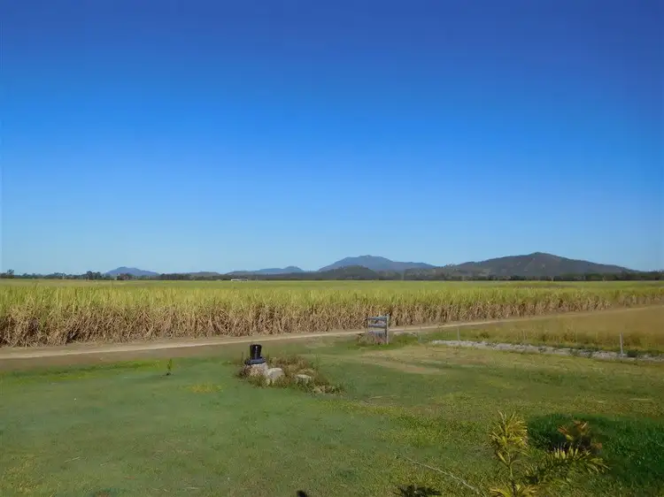 Seventh view of Homely rural property listing, 205 Dunwold-Cattle Creek Road, Mirani QLD 4754