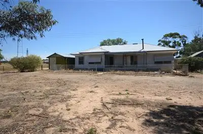 Main view of Homely rural property listing, 307 Barretts Road, Lameroo SA 5302