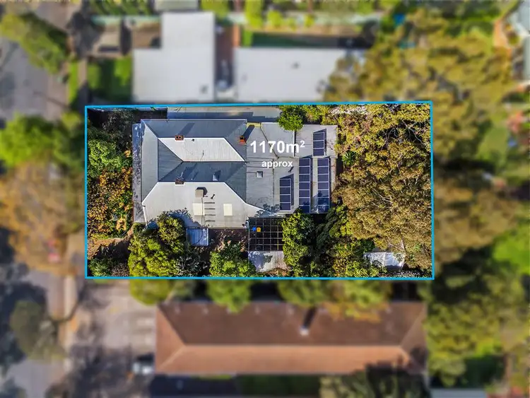 Main view of Homely house listing, 59 Marlborough Street, Malvern SA 5061