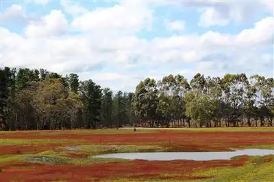 Sixth view of Homely rural property listing, 279 Bennett Road, Napier WA 6330