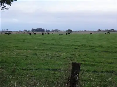 Fifth view of Homely rural property listing, 184 Blands Road, Tarraville VIC 3971