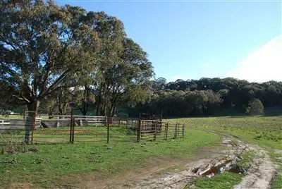 Sixth view of Homely rural property listing, 3820 Niangala Road, Niangala NSW 2354