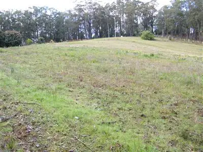 Fifth view of Homely rural property listing, 870 Gembrook-Launching Place Road, Hoddles Creek VIC 3139