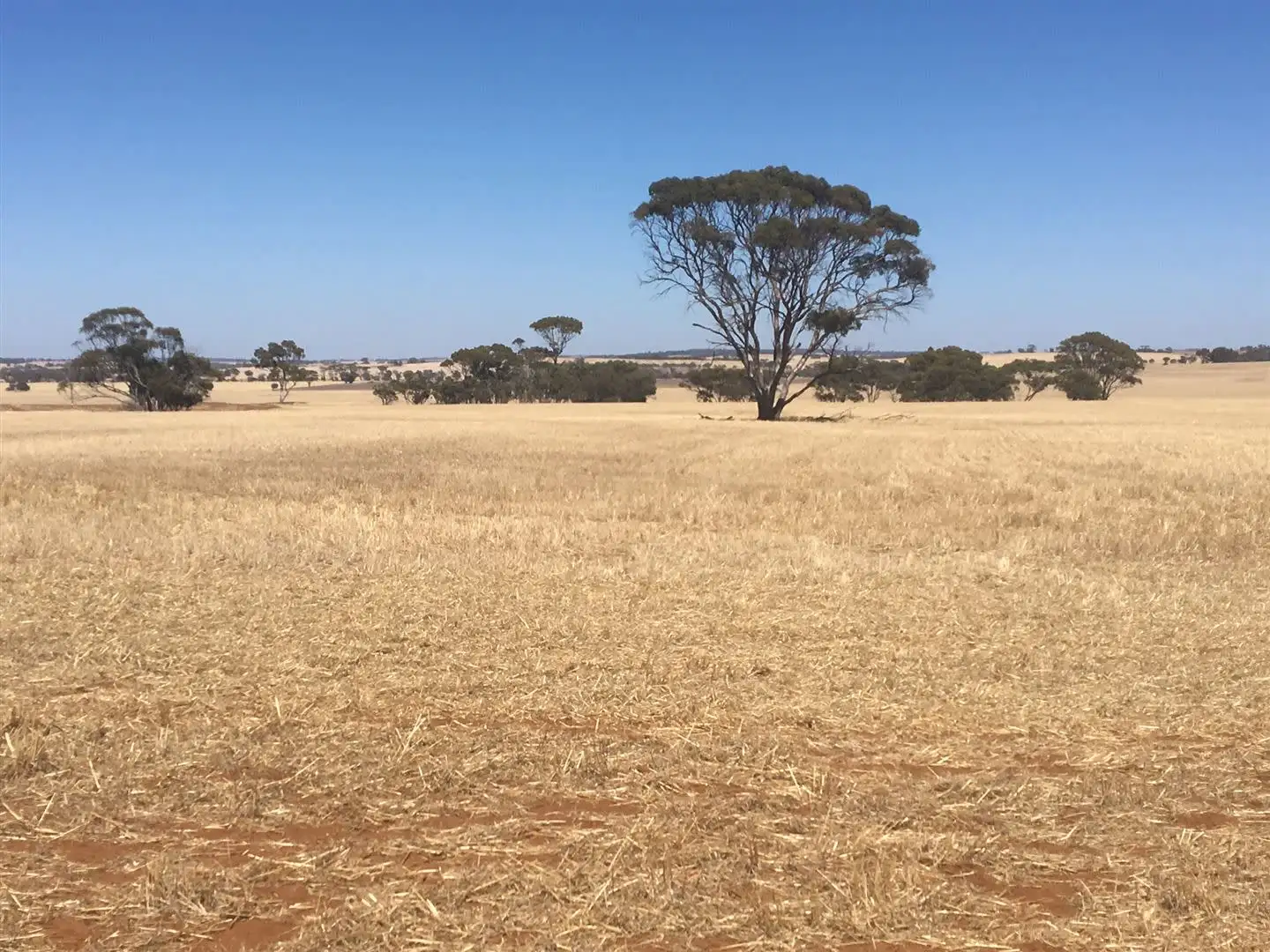 Main view of Homely rural property listing, Address available on request