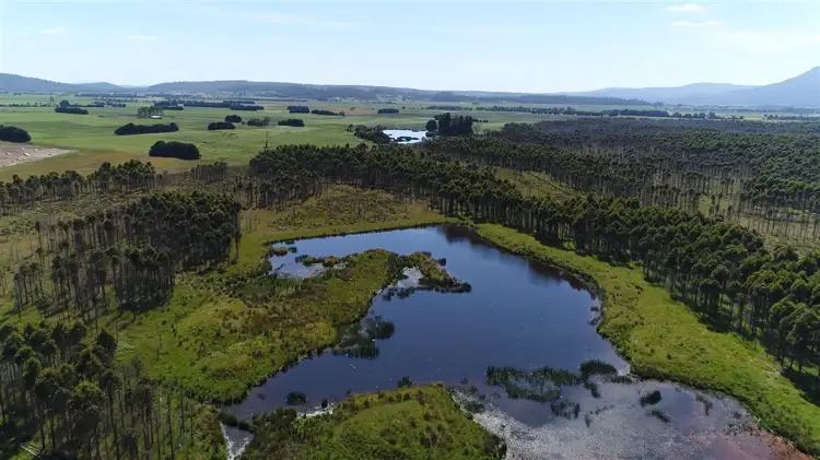 Sixth view of Homely rural property listing, 862 Cheshunt Road, Western Creek TAS 7304