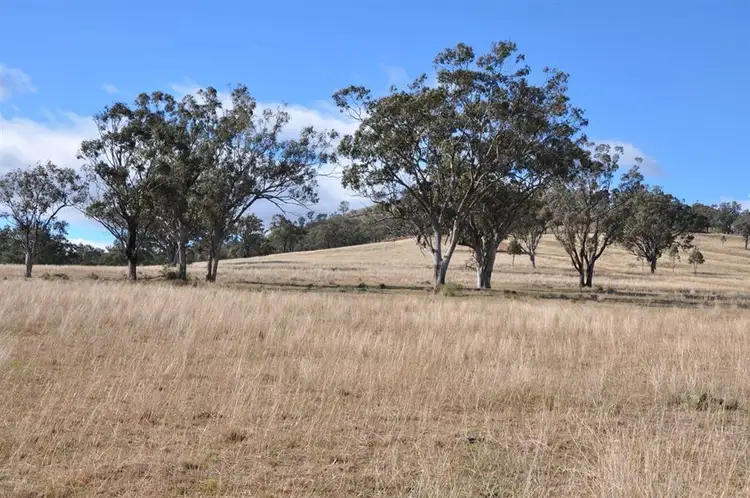 Main view of Homely rural property listing, 163 Milford Hills Lane, Scone NSW 2337