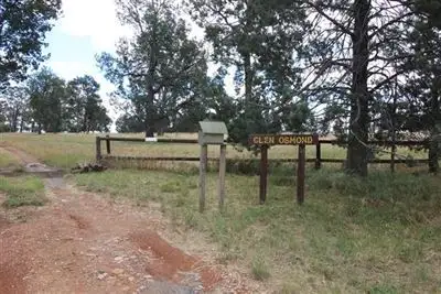 555 Ironbong Rd, Bethungra NSW 2590