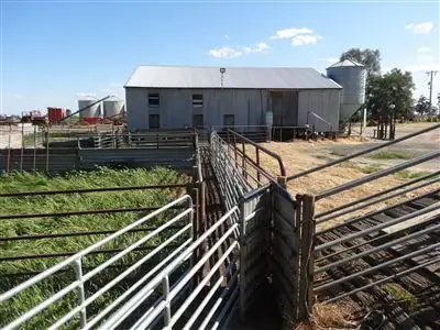 Seventh view of Homely rural property listing, 2456 Kerang-Murrabit Road, Murrabit VIC 3579