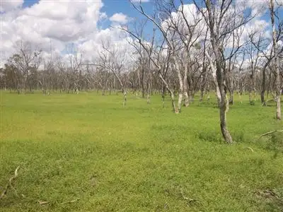 Main view of Homely rural property listing, . Number 8, Wyandra QLD 4489