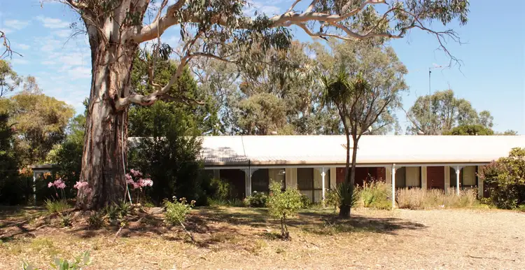 Third view of Homely house listing, 39 Connellys Creek Road, Acheron VIC 3714