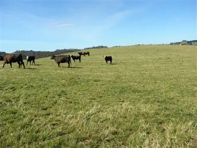 Second view of Homely rural property listing, 249 Camena Road, Natone TAS 7321