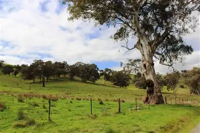 Lot 3/7212 Maroondah Highway, Kanumbra VIC 3719