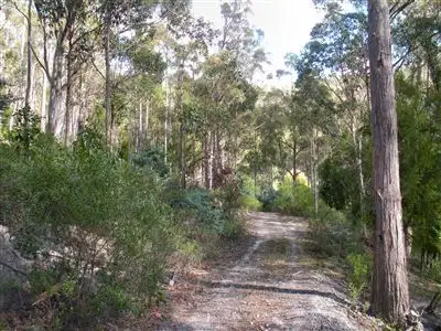 Main view of Homely land listing, Lot 1 Church Road, Dromedary TAS 7030