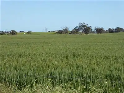 Main view of Homely rural property listing, 2117 Senior Road, Bordertown SA 5268