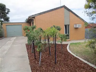 4 Alnwick Court, Noarlunga Downs SA 5168