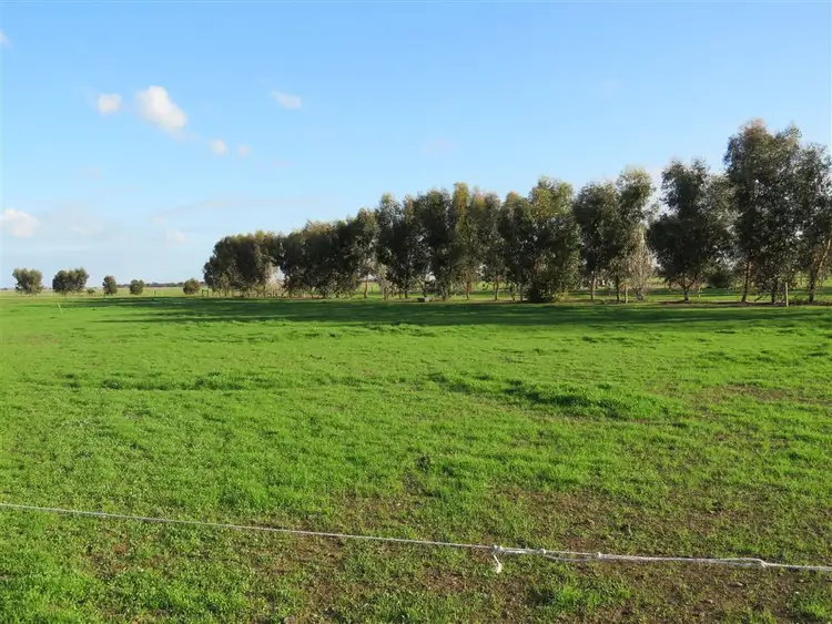 Sixth view of Homely rural property listing, 113 Mitiamo Road, Echuca VIC 3564