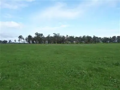 Second view of Homely rural property listing, 156 Gibellinis Rd, Manjimup WA 6258