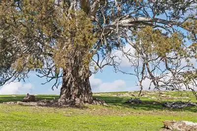 Fourth view of Homely rural property listing, Address available on request