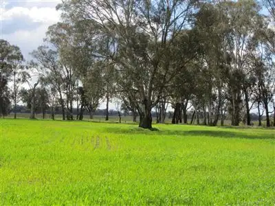 Fifth view of Homely rural property listing, 613 Pranjip Road, Euroa VIC 3666