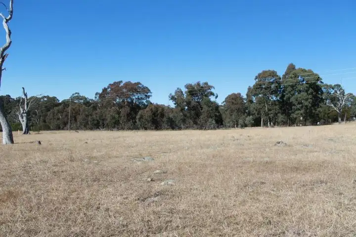 Seventh view of Homely rural property listing, Lot 9 Torrington Rd, Torrington NSW 2371