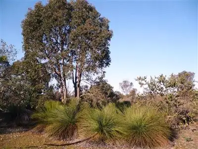 Second view of Homely land listing, 161 Wannamal West Road, Gingin WA 6503