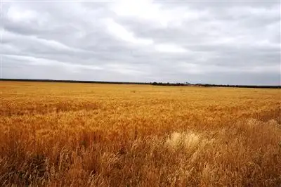 Seventh view of Homely rural property listing, Address available on request