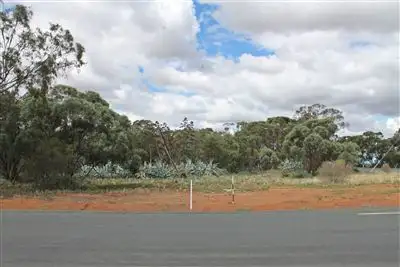 Lot 1 Central Road, West Wyalong NSW 2671
