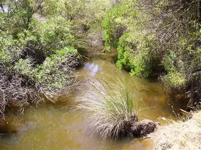 Fourth view of Homely rural property listing, 14 East West Two Highway, Parndana SA 5220