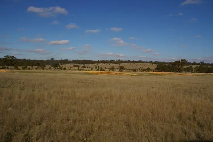 Sixth view of Homely rural property listing, . Morrl Morrl Forest Rd, Morrl Morrl VIC 3387
