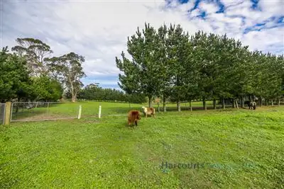 Sixth view of Homely land listing, 24 Herrmanns Road, Mount Torrens SA 5244
