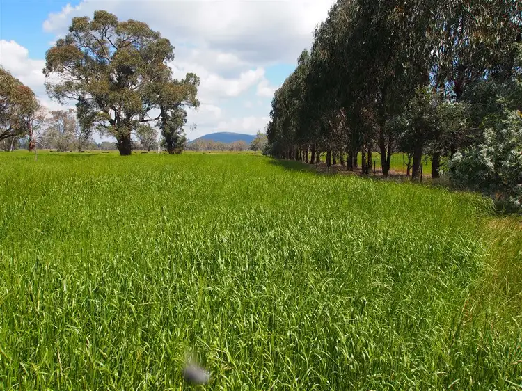 Sixth view of Homely rural property listing, 85 Dobson Road, Benalla VIC 3672