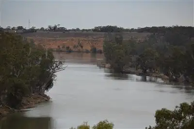 Fifth view of Homely rural property listing, 5416 Murraylands Drive, Swan Reach SA 5354