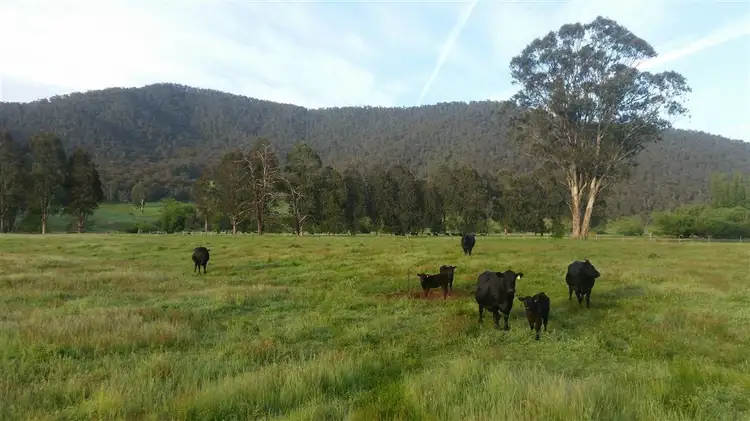 Sixth view of Homely rural property listing, 2704 Benambra-Corryong Rd, Nariel Valley VIC 3707