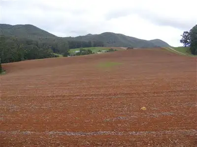 Main view of Homely rural property listing, 111 Allens Road, Sisters Creek TAS 7325