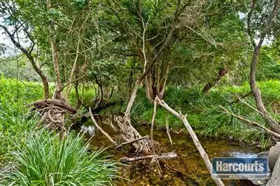 Sixth view of Homely rural property listing, 385 Raynbird Road, Narangba QLD 4504