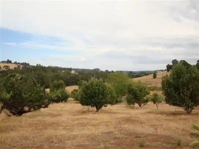Second view of Homely land listing, 5 Mottram Street, Bridgetown WA 6255