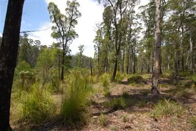 Fourth view of Homely land listing, 0 Irish Town Road, St Marys TAS 7215